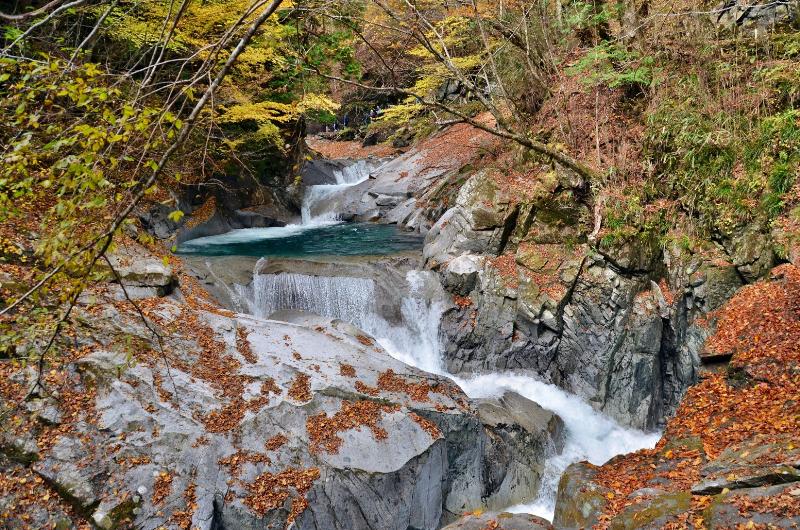 紅葉後の西沢渓谷